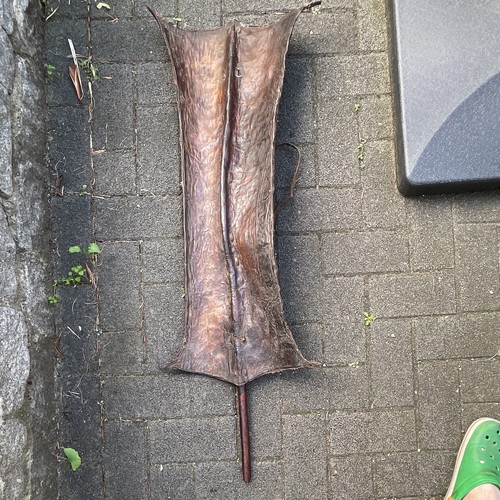 Antiker turkana lederschild - antiker,
