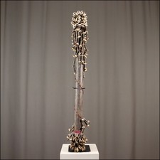 83648) Tanzrassel Bamun