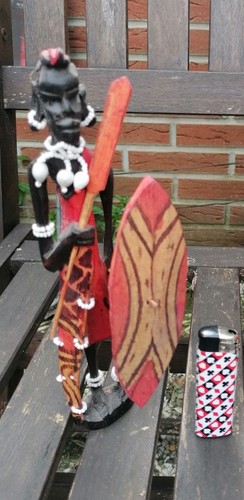 Afrikanischer krieger geister - krieger,