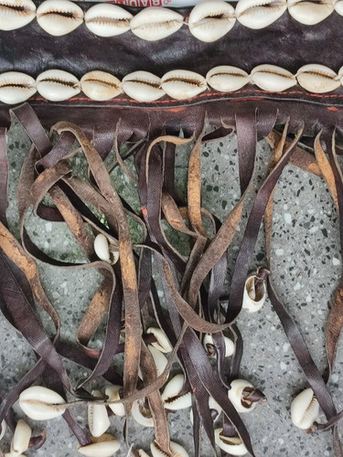Muschelgürtel leder kauri aus - leder,