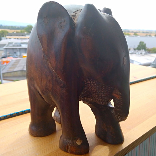 Elefant gebr - elefant,,