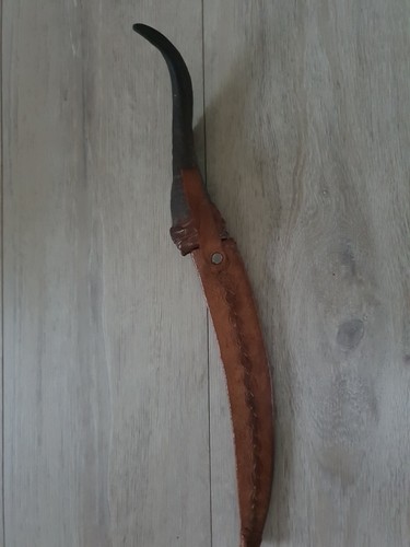 Afrikanisches hornmesser - afrikanisches,