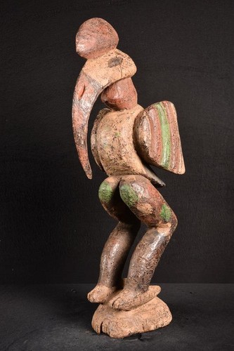 Afrikanische alte kalao - afrikanische,